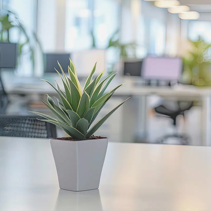Visit the Renton Commercial Cleaners website by Artmedia Digital